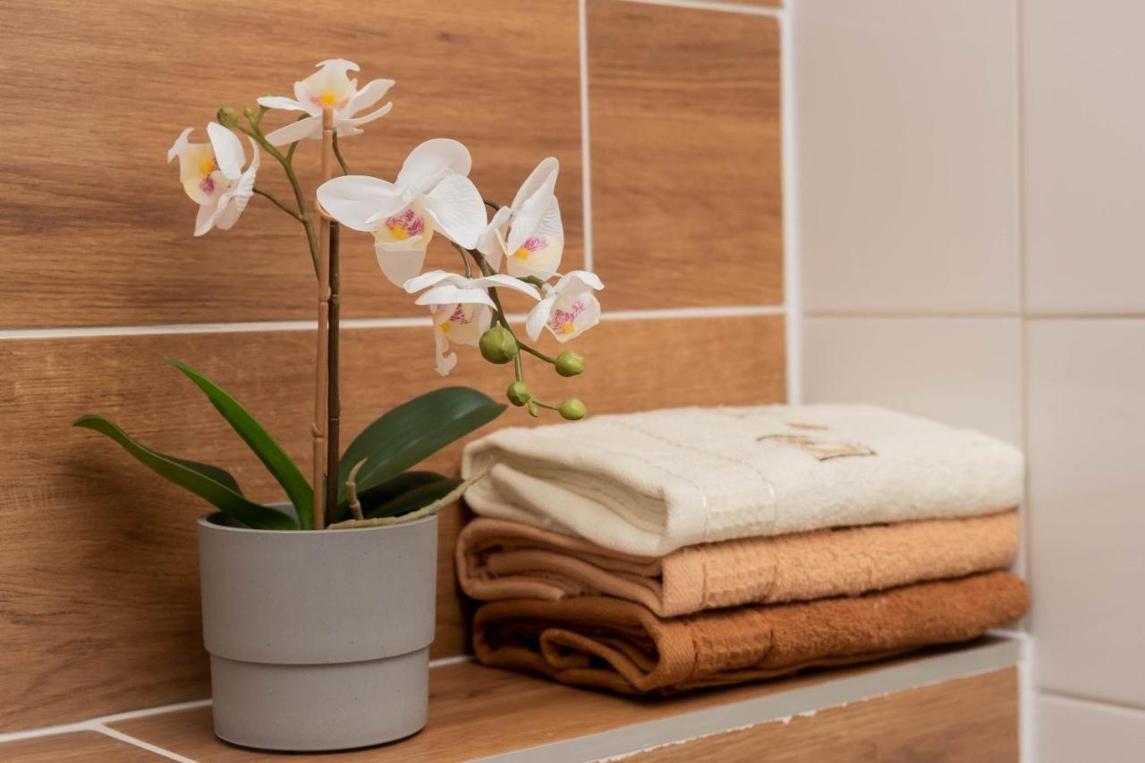 Apartamenty GoszóWita Stronie Śląskie Kültér fotó