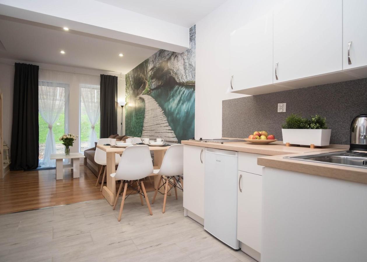 Apartamenty GoszóWita Stronie Śląskie Kültér fotó